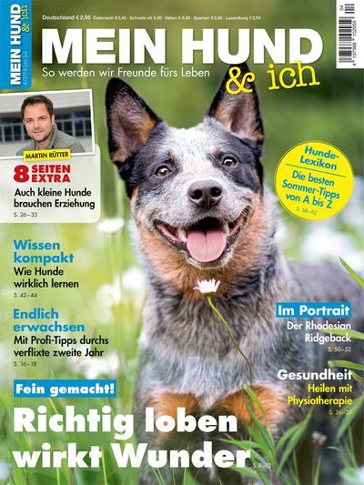 Cover Mein Hund Magazin